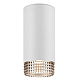 Накладной светильник ЭРА OL40 WH/GR Б0058478
