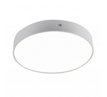 Потолочный светодиодный светильник Favourite Flashled 2065-30C