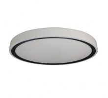 Потолочный светодиодный светильник Zortes Bella ZRS.1201.11