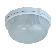 Настенно-потолочный светильник ЭРА Акватермо НБП 03-60-001 Б0048419
