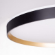 Светильник с пультом Citilux ETALON CL750501R