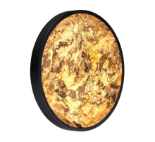 Настенно-потолочный светильник Odeon Light BERGI 5064/40L