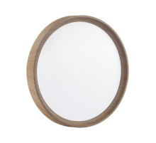 Настенно-потолочный светильник Sonex WOODI 7603/ELN