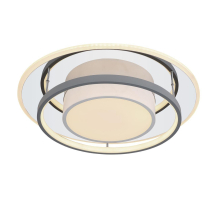 Настенно-потолочный светодиодный светильник Globo Leola 48017-60R