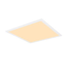 Настенно-потолочный светодиодный светильник Globo Sunao 41597D1