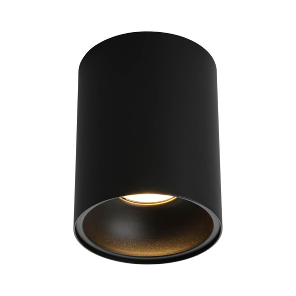 Потолочный светильник Omnilux Cariano OML-101219-01 Потолочный светильник Omnilux Cariano OML-101219-01
