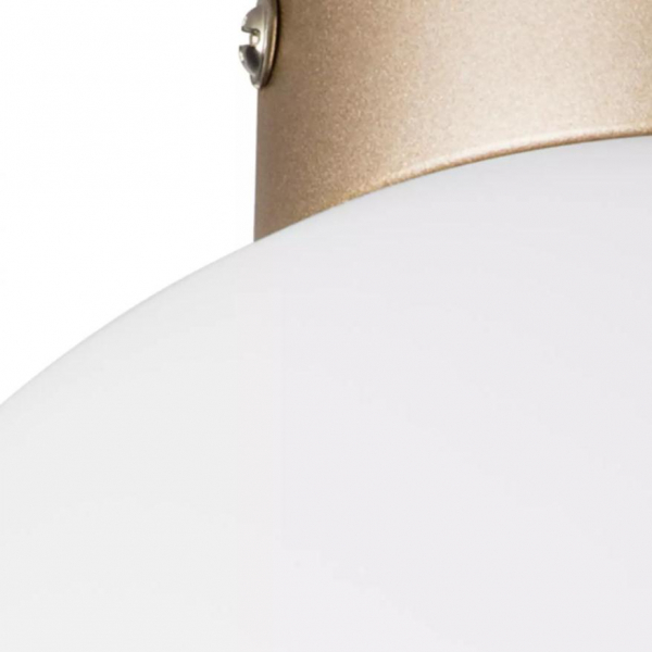 Настенно-потолочный светильник Lightstar Globo 812023 Настенно-потолочный светильник Lightstar Globo 812023