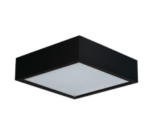 Настенный потолочный светильник Kanlux MERSA 300-B/M 29050
