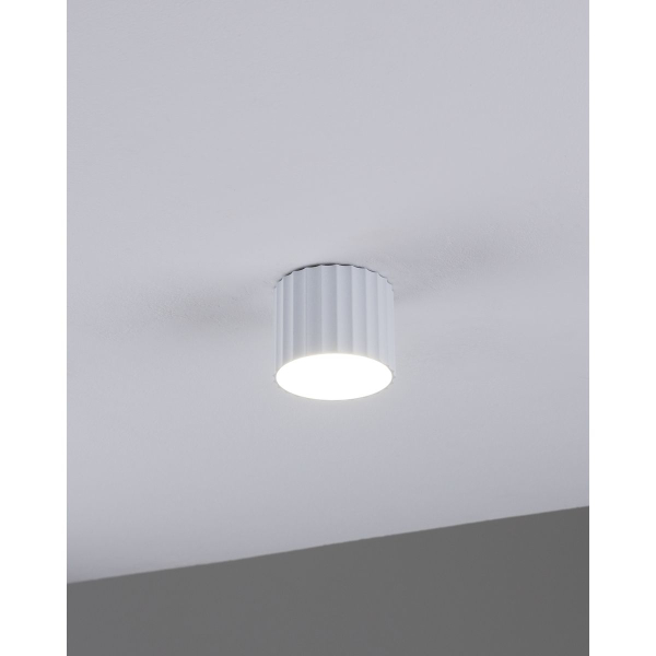 Настенно-потолочный светильник Moderli Cora V11884-1C