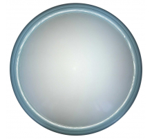 Настенно-потолочный светильник Toplight Portia TL1128-1Y