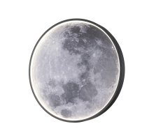 Настенно-потолочный светодиодный светильник Escada Planet 10226/SG LED Moon