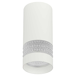 Настенно-потолочный светильник ЭРА OL41 WH/WH Б0058486