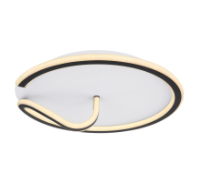 Настенно-потолочный светодиодный светильник Globo Rodan 48439-40