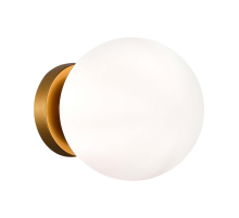 Настенно-потолочный светильник Evoluce Acini SL717.201.01