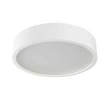 Настенный потолочный светильник Kanlux JASMIN 370-W/M 23127