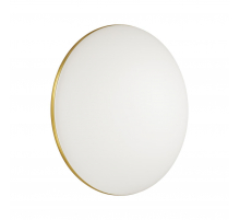 Настенно-потолочный светодиодный светильник Sonex Tan Lassa 3043/EL