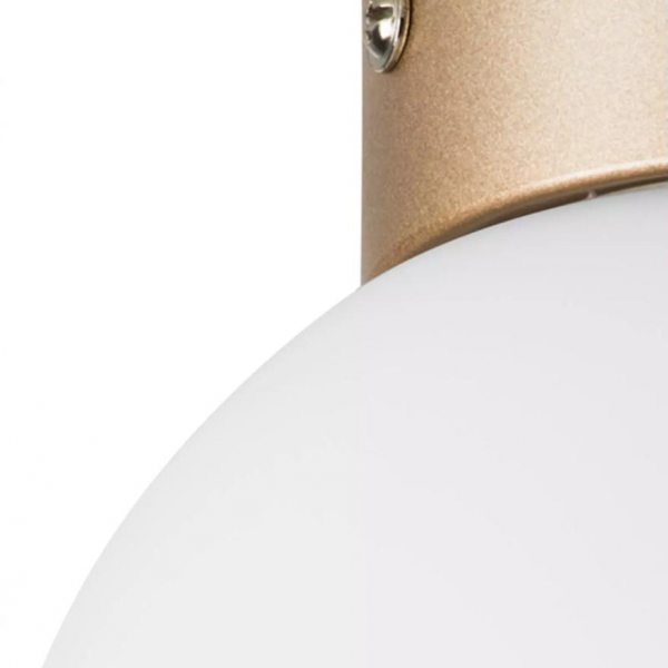 Настенно-потолочный светильник Lightstar Globo 812013 Настенно-потолочный светильник Lightstar Globo 812013