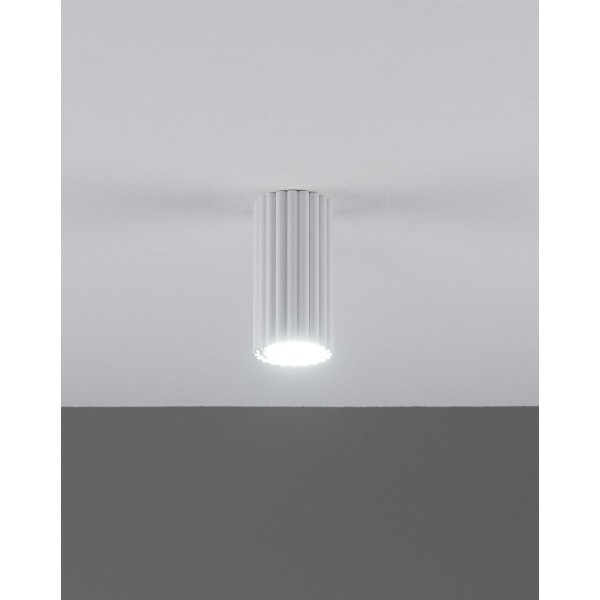 Настенно-потолочный светильник Moderli Cora V11888-1C