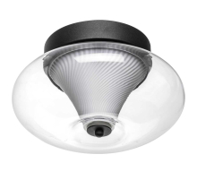 Светильник настенно- потолочный Palermo Lightstar 612017