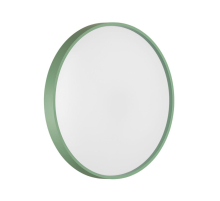 Настенно-потолочный светильник Sonex COLOR 7743/ELN