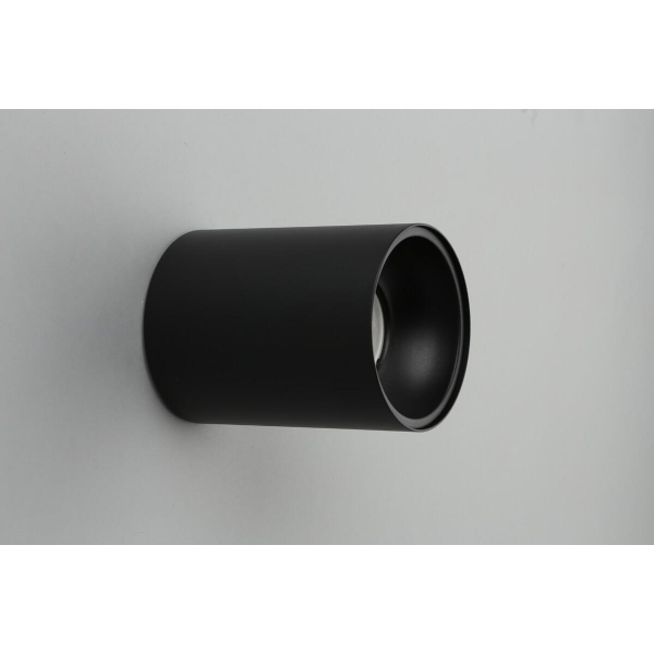 Потолочный светильник Omnilux Cariano OML-101219-01 Потолочный светильник Omnilux Cariano OML-101219-01
