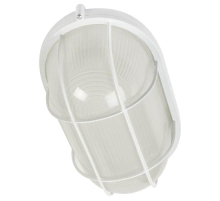 Настенно-потолочный светильник ЭРА Акватермо НБП 04-60-002 Б0048425