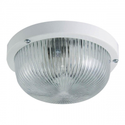 Настенно-потолочный светильник TDM Electric НПП 03-60-001 SQ0311-0023