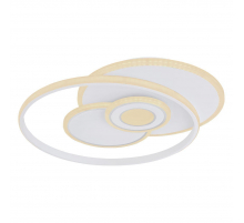 Настенно-потолочный светодиодный светильник Globo Roderick 48442-50