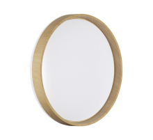 Настенно-потолочный светильник Sonex BASICA 7684/ELN