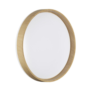 Настенно-потолочный светильник Sonex BASICA 7684/ELN