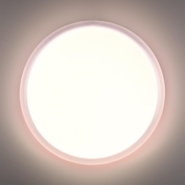 Настенно-потолочный светильник Sonex JOLLY 7776/DLN