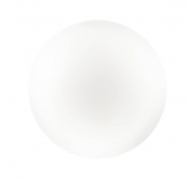 Настенно-потолочный светильник Sonex Pale Simple 3017/CL