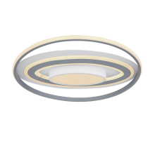 Настенно-потолочный светодиодный светильник Globo Leola 48016-60