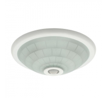 Настенный потолочный светильник Kanlux FOGLER DL-240O 18120