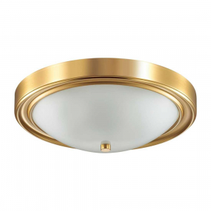 Настенно-потолочный светильник Lumion Vintage Nina 5259/3C