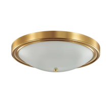 Настенно-потолочный светильник Lumion Vintage Nina 5259/4C