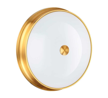 Настенно-потолочный светильник Odeon Light Walli Marsei 4824/4C