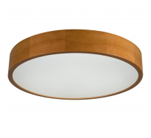 Настенно-потолочный светильник Kanlux JASMIN 470-G/O 36442