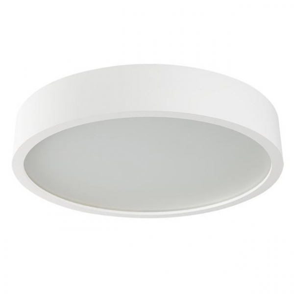 Настенный потолочный светильник Kanlux JASMIN 470-W/M 23128 Настенный потолочный светильник Kanlux JASMIN 470-W/M 23128