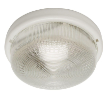 Настенно-потолочный светильник Feron НБО 05-100-001 41403