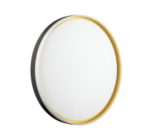 Настенно-потолочный светильник Sonex SAVI 7619/ELN