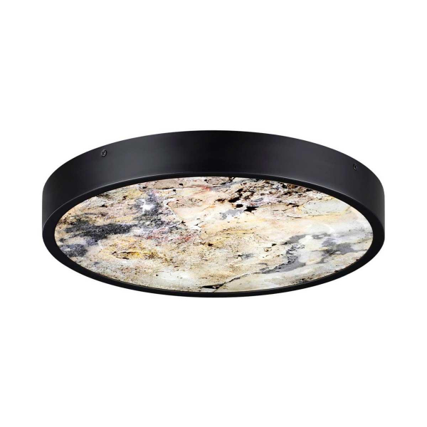 Настенно-потолочный светильник Odeon Light BERGI 5064/24L Настенно-потолочный светильник Odeon Light BERGI 5064/24L