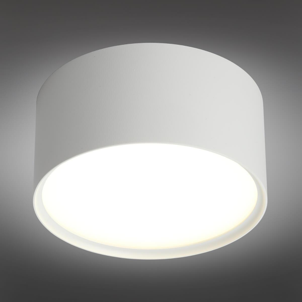 Потолочный светодиодный светильник Omnilux Salentino OML-100909-12 Потолочный светодиодный светильник Omnilux Salentino OML-100909-12