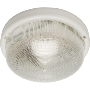 Настенно-потолочный светильник Feron НБО 05-100-001 41403