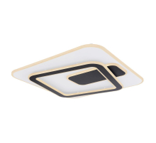 Настенно-потолочный светодиодный светильник Globo Rodan 48435-50