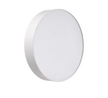 Настенно-потолочный светильник Sonex BASICA 7779/DLN