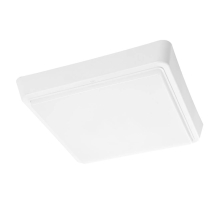 Настенно-потолочный светодиодный светильник Feron AL3021 41781