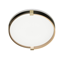 Настенно-потолочный светодиодный светильник Sonex Pale Olidi Black 7647/CL