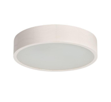 Настенный потолочный светильник Kanlux JASMIN 370-W 23124