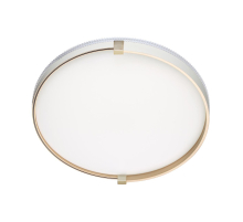 Настенно-потолочный светодиодный светильник Sonex Pale Olidi White 7646/DL